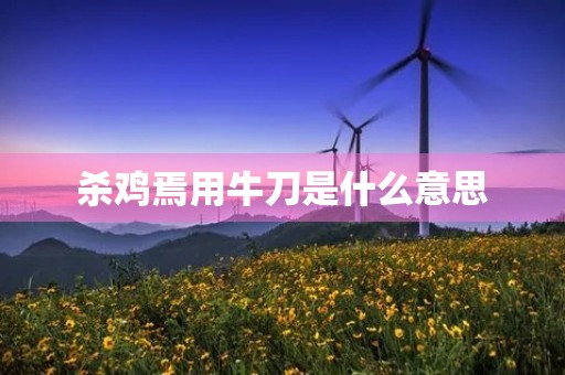 杀鸡焉用牛刀是什么意思