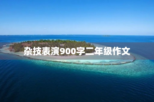 杂技表演900字二年级作文