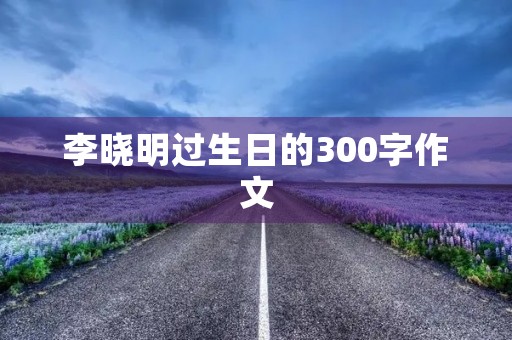 李晓明过生日的300字作文