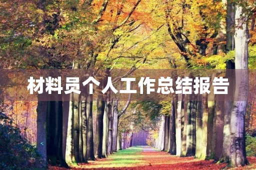 材料员个人工作总结报告