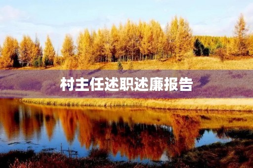 村主任述职述廉报告