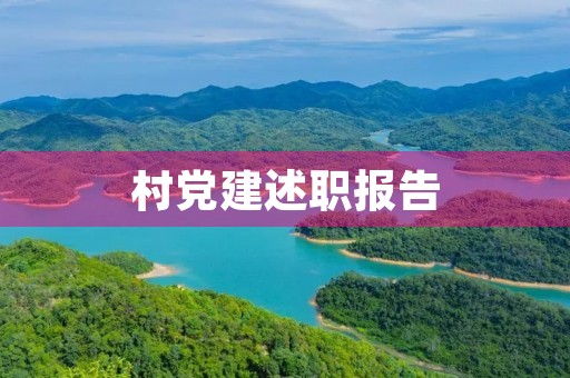 村党建述职报告，村级各类组织向村党组织述职