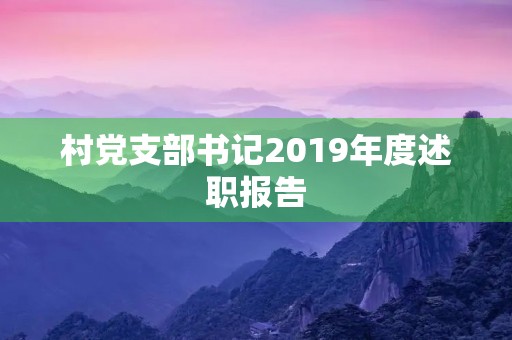 村党支部书记2019年度述职报告