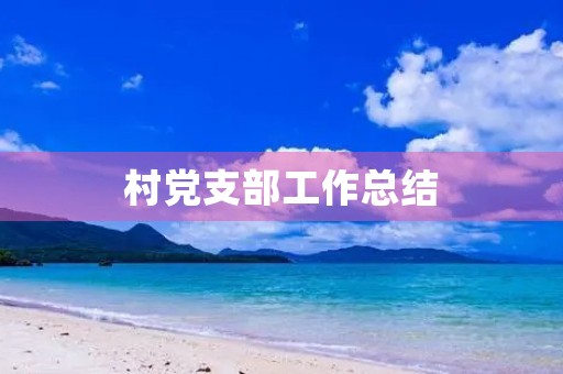 村党支部工作总结,农村党支部党建工作总结