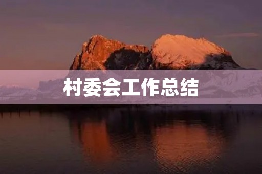 村委会工作总结 村委会工作总结