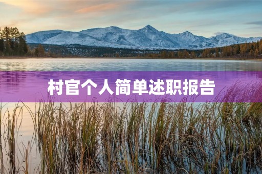 村官个人简单述职报告 村官个人简单述职报告