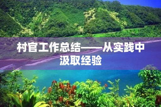 村官工作总结——从实践中汲取经验