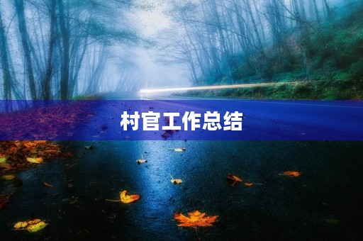 村官工作总结