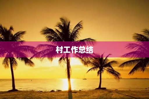 村工作总结