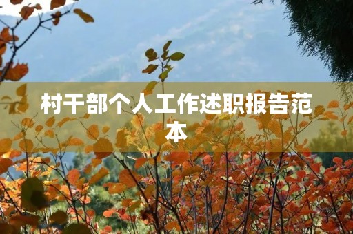 村干部个人工作述职报告范本