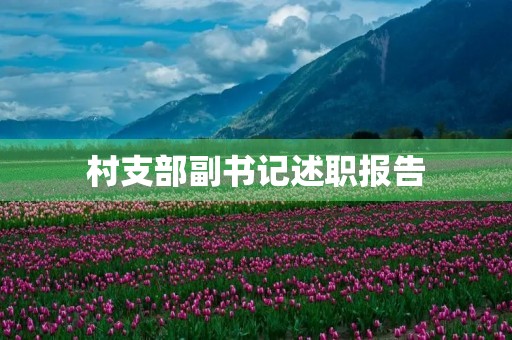 村支部副书记述职报告(村支部副书记工作总结)