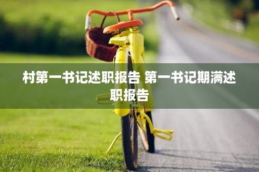村第一书记述职报告 第一书记期满述职报告