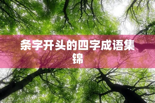 条字开头的四字成语集锦