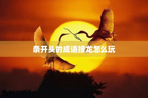 条开头的成语接龙怎么玩