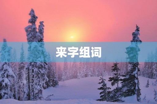 来字组词(来字组词) 来字组词(来字组词)