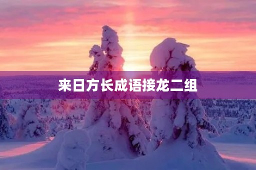 来日方长成语接龙二组