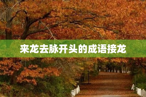 来龙去脉开头的成语接龙
