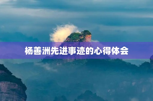 杨善洲先进事迹的心得体会 杨善洲先进事迹的心得体会