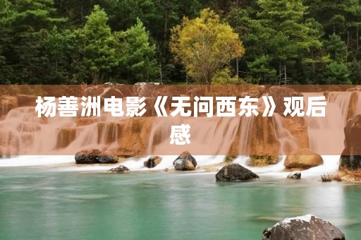 杨善洲电影《无问西东》观后感
