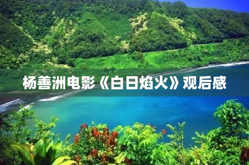 杨善洲电影《白日焰火》观后感