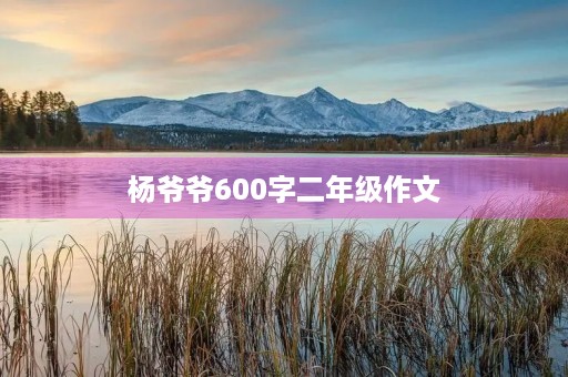 杨爷爷600字二年级作文