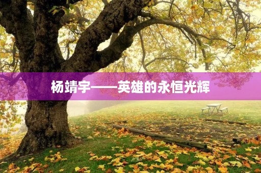 杨靖宇——英雄的永恒光辉