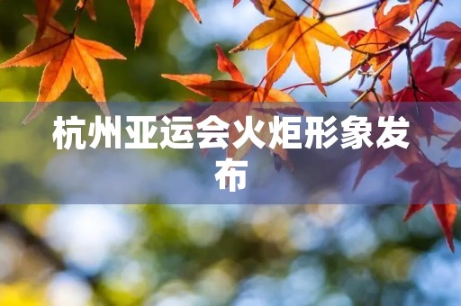 杭州亚运会火炬形象发布（2022年杭州亚运会火炬传递路线）