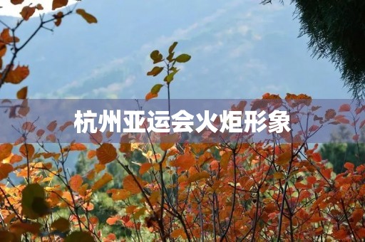 杭州亚运会火炬形象(杭州亚运会火炬形象设计元素)