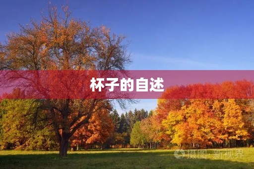 杯子的自述
