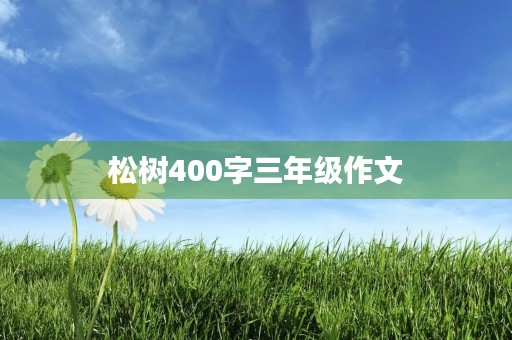 松树400字三年级作文 松树400字三年级作文
