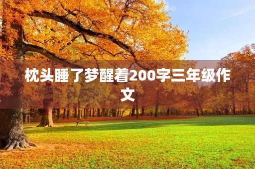 枕头睡了梦醒着200字三年级作文 枕头睡了梦醒着200字三年级作文