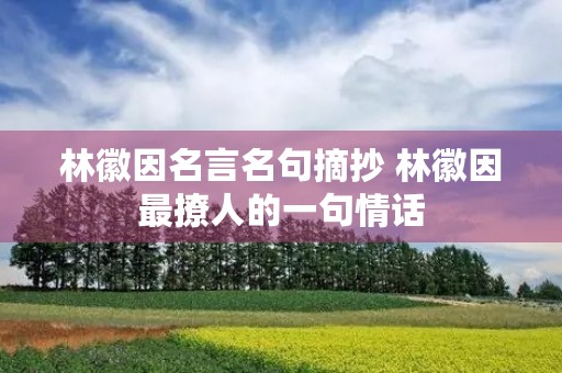 林徽因名言名句摘抄 林徽因最撩人的一句情话