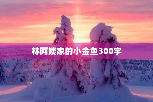 林阿姨家的小金鱼300字
