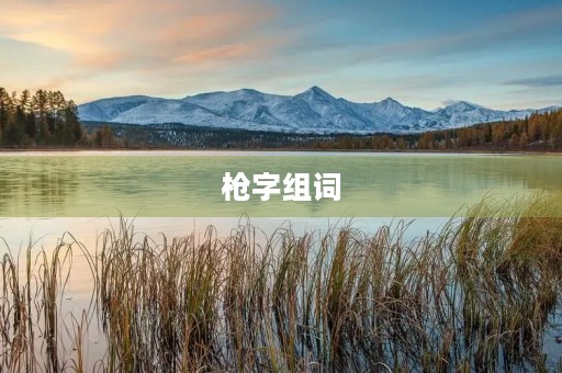枪字组词(枪组词)