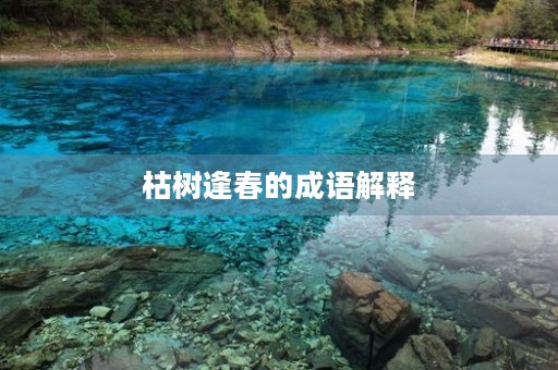 枯树逢春的成语解释 枯树逢春的成语解释