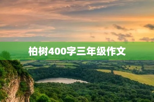 柏树400字三年级作文 柏树400字三年级作文