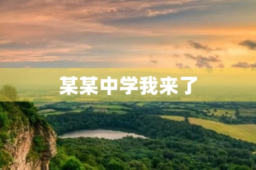 某某中学我来了