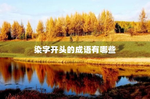染字开头的成语有哪些