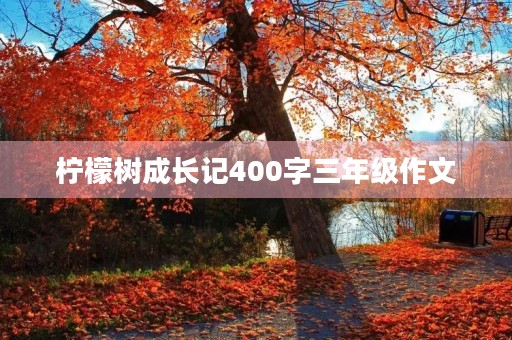 柠檬树成长记400字三年级作文 柠檬树成长记400字三年级作文