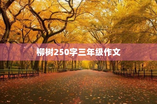柳树250字三年级作文
