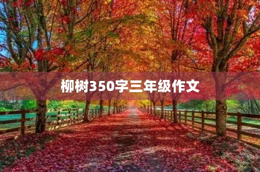 柳树350字三年级作文