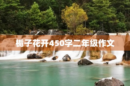 栀子花开450字二年级作文