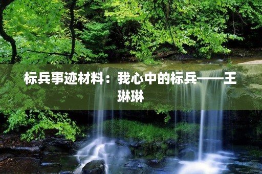 标兵事迹材料:我心中的标兵——王琳琳 标兵事迹材料:我心中的标兵——王琳琳