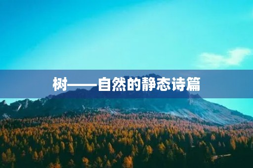 树——自然的静态诗篇 树——自然的静态诗篇
