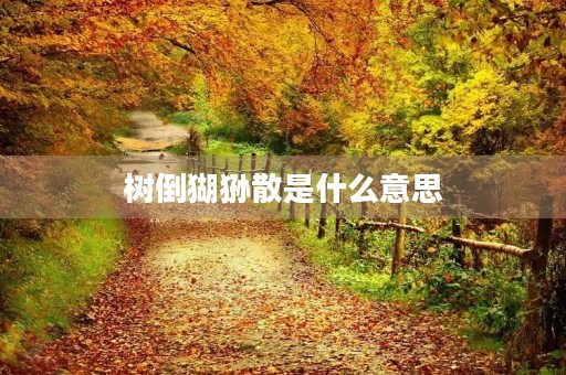 树倒猢狲散是什么意思 树倒猢狲散是什么意思