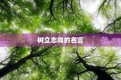树立志向的名言(树立志向的名人名言)