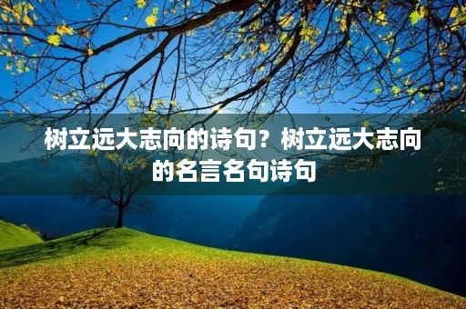 树立远大志向的诗句？树立远大志向的名言名句诗句