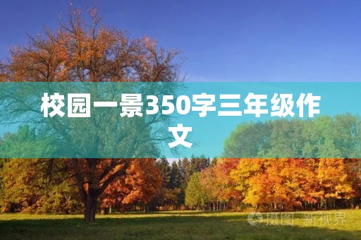 校园一景350字三年级作文