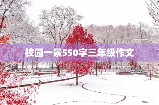 校园一景550字三年级作文 校园一景550字三年级作文