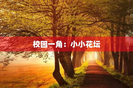 校园一角：小小花坛